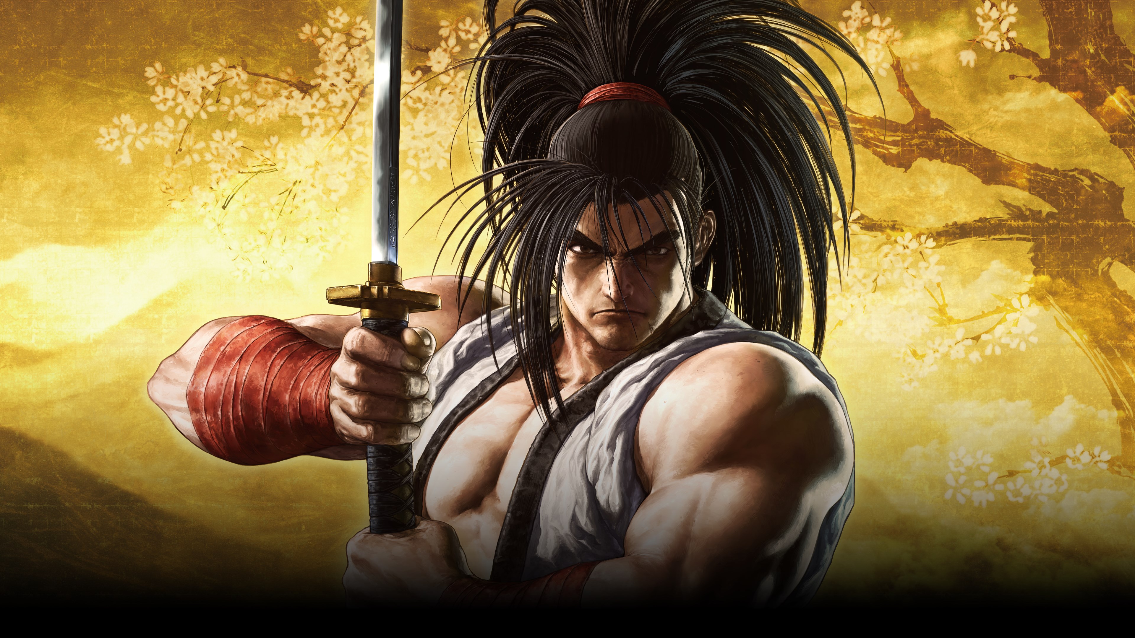Video Game Samurai Shodown (2021) HD Wallpaper | Background Image