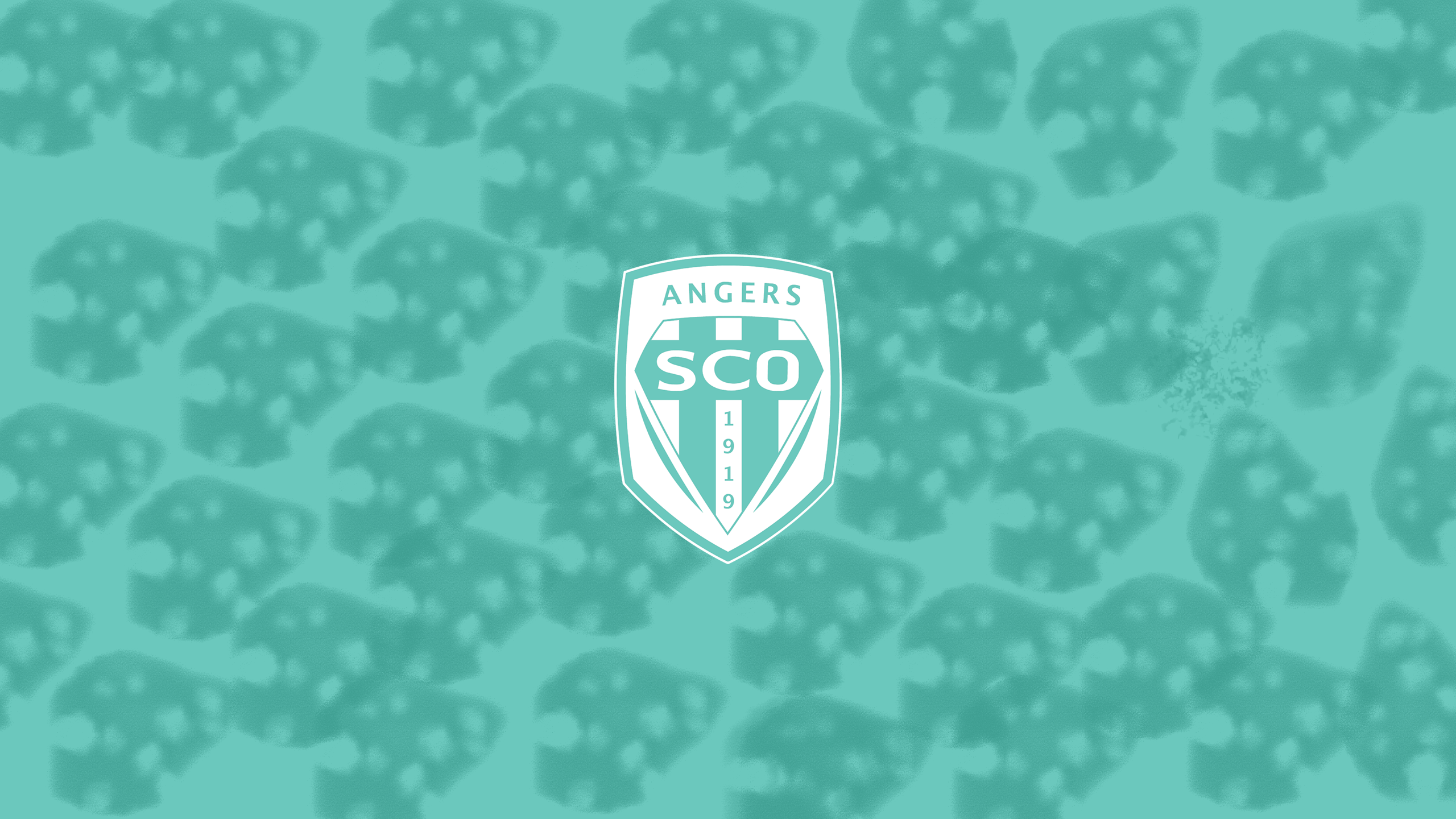Sports Angers SCO HD Wallpaper | Background Image