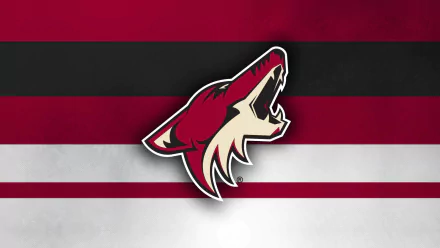 logo NHL hockey Arizona Coyotes Sports HD Desktop Wallpaper | Background Image