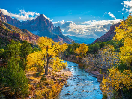 Vibrant autumn foliage lines a flowing river in Zion National Park under a bright blue sky, captured in stunning 4K Ultra HD for a breathtaking desktop wallpaper.