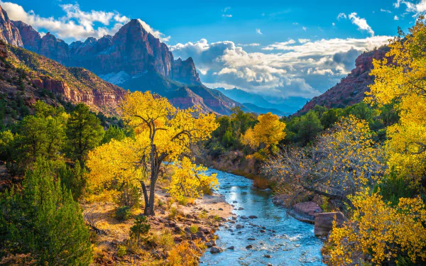 Vibrant autumn foliage lines a flowing river in Zion National Park under a bright blue sky, captured in stunning 4K Ultra HD for a breathtaking desktop wallpaper.