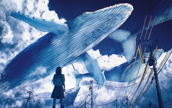 Anime Girl Whale HD Wallpaper | Background Image