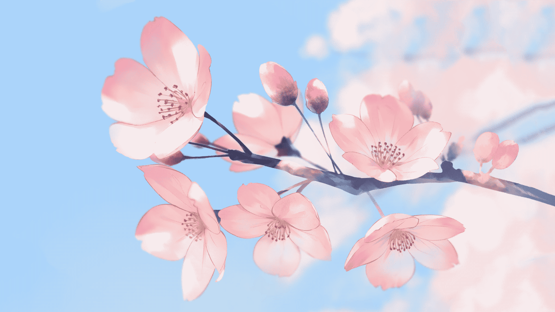 park many pink sakura trees ai generated - Stock Illustration [101221265] -  PIXTA