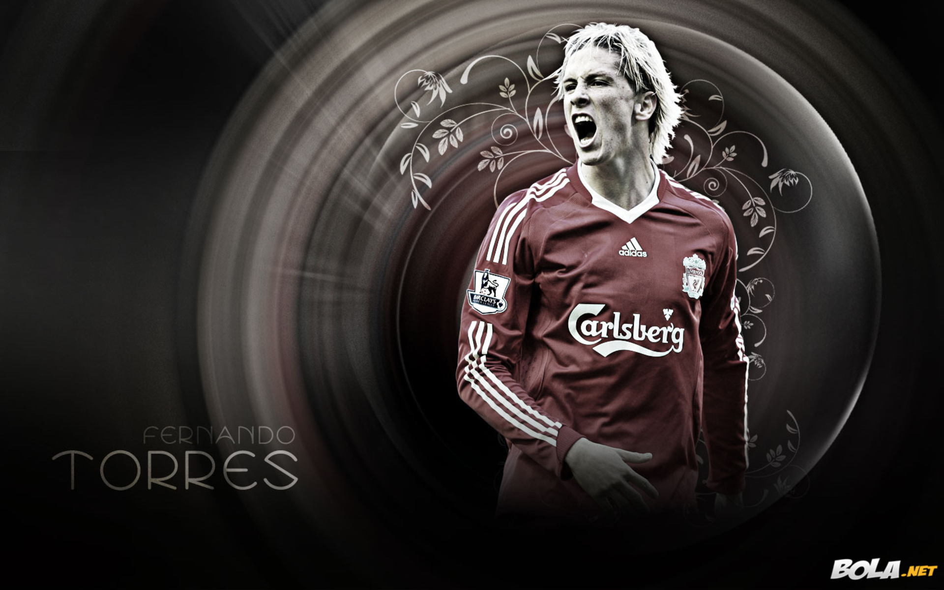 Spanish Footballer Fernando Torres in Ground Wallpapers  HD Wallpapers