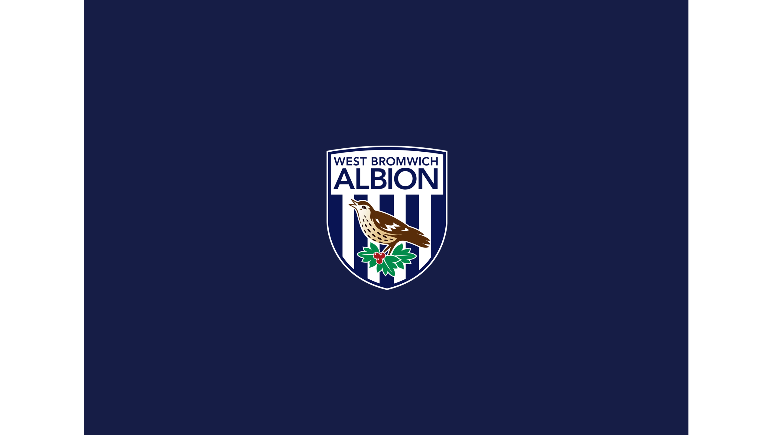 Sports West Bromwich Albion F.C. HD Wallpaper | Background Image