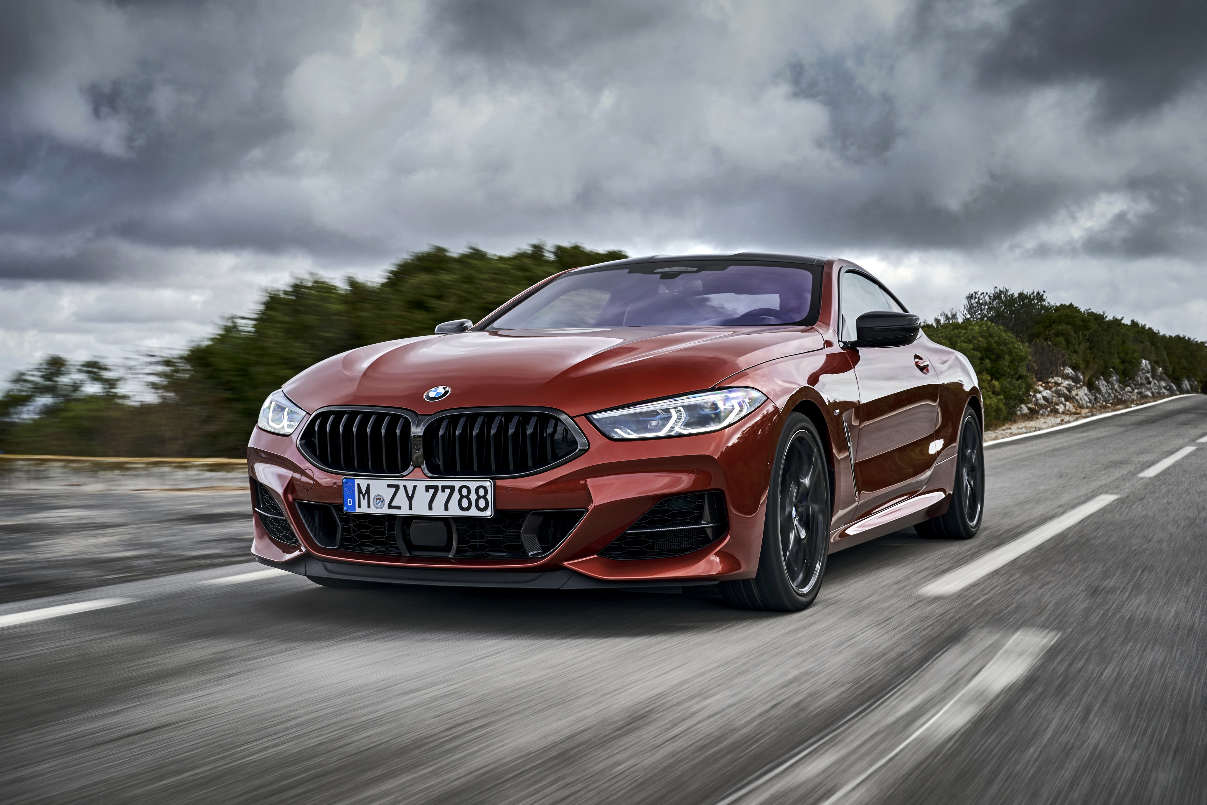 BMW 8 Series Gran Coupe Exterior image, Pictures, Photos | WapCar