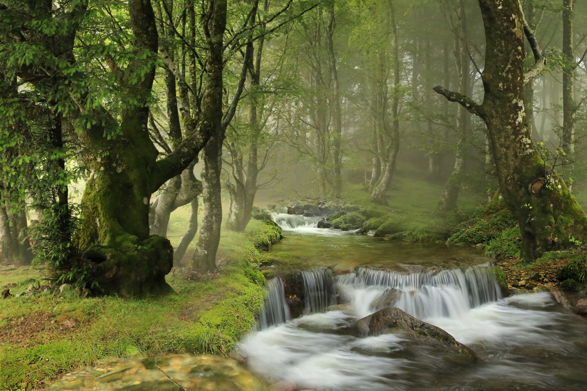 Nature stream 5K Ultra HD PC desktop wallpaper: misty green forest with a cascading stream over mossy rocks and sunlit trees.