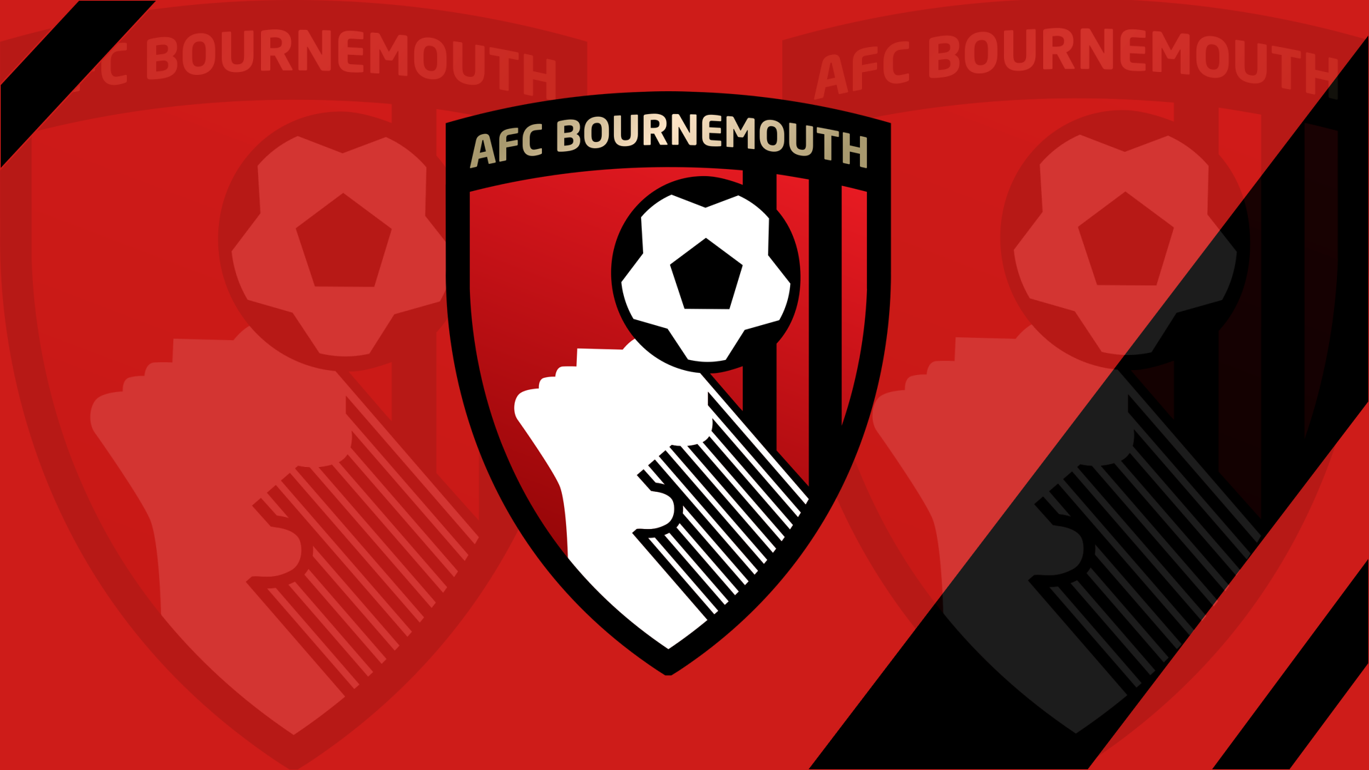 AFC Bournemouth Papel De Parede HD | Plano De Fundo | 1920x1080