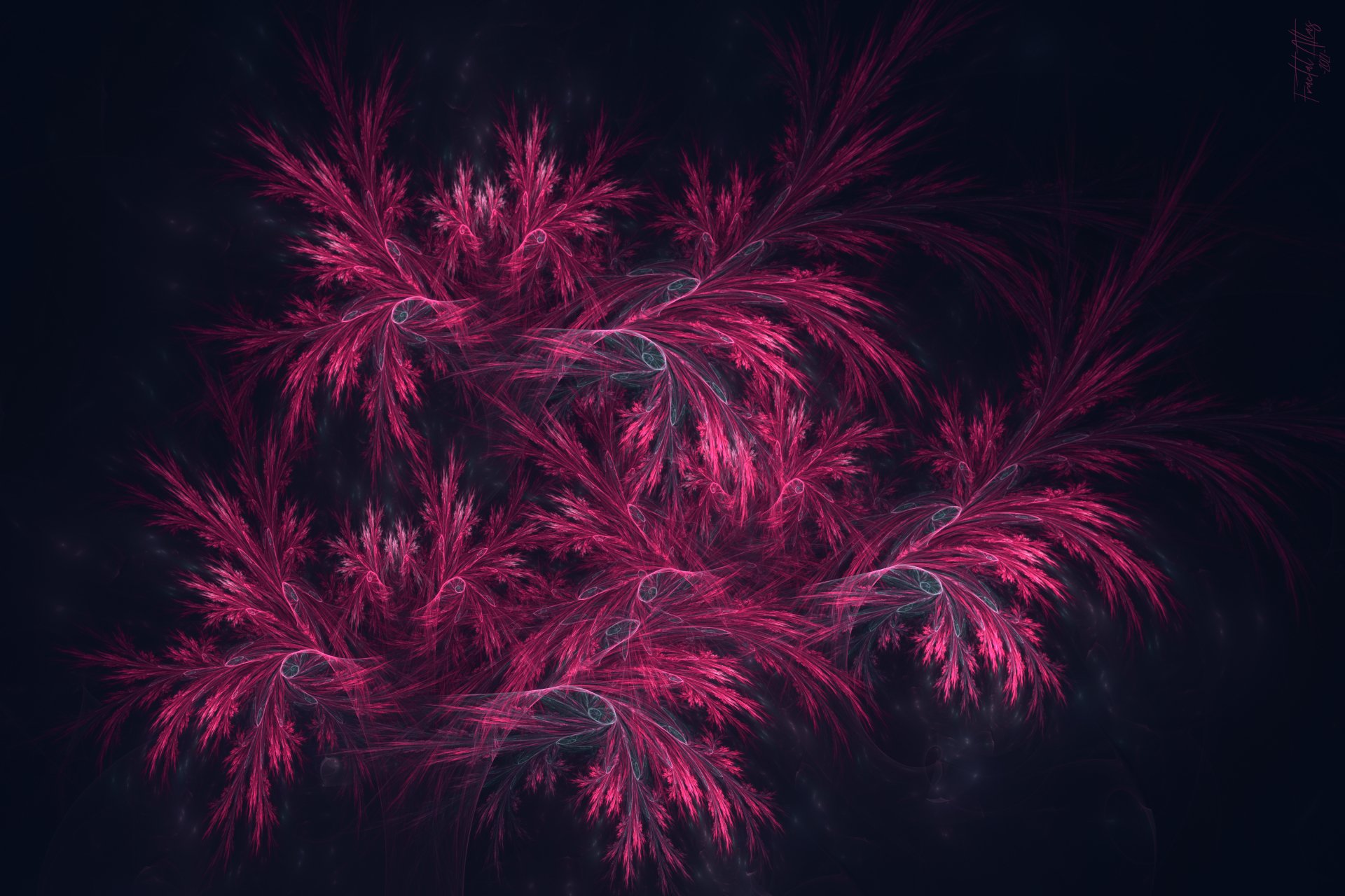 Download Pink Abstract Fractal 4k Ultra HD Wallpaper by FractalAtlas