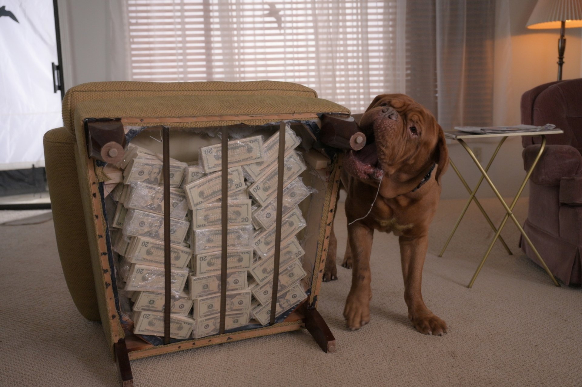 Download TV Show Turner & Hooch HD Wallpaper