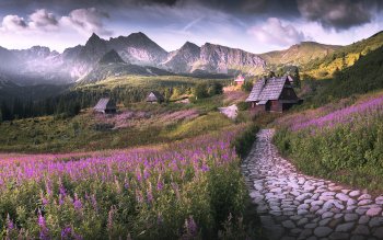 Wallpaper ID: 1167779
