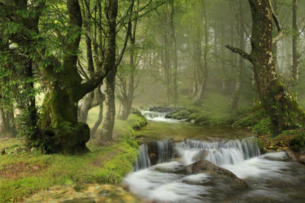 nature stream HD Desktop Wallpaper | Background Image
