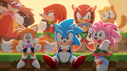 Sonic Channel Classic Sonic Doctor Robotnik Mighty the Armadillo Ray the Flying Squirrel Knuckles the Echidna Amy Rose Miles 'Tails' Prower video game Sonic the Hedgehog HD Desktop Wallpaper | Background Image