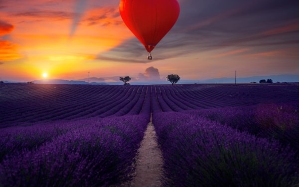 Earth Field HD Wallpaper | Background Image