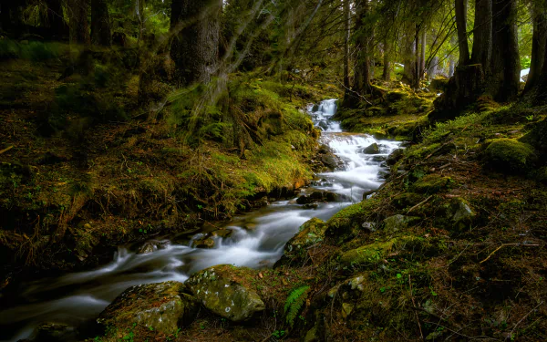 nature stream HD Desktop Wallpaper | Background Image