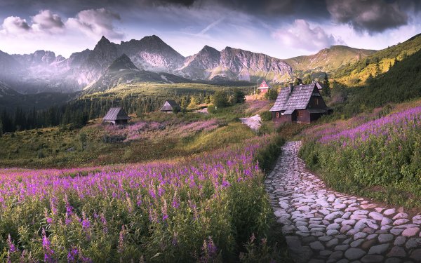 Photography Landscape Mountain Flower Path House HD Wallpaper | Background Image