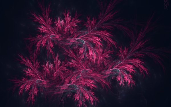 Abstract Fractal Pink HD Wallpaper | Background Image