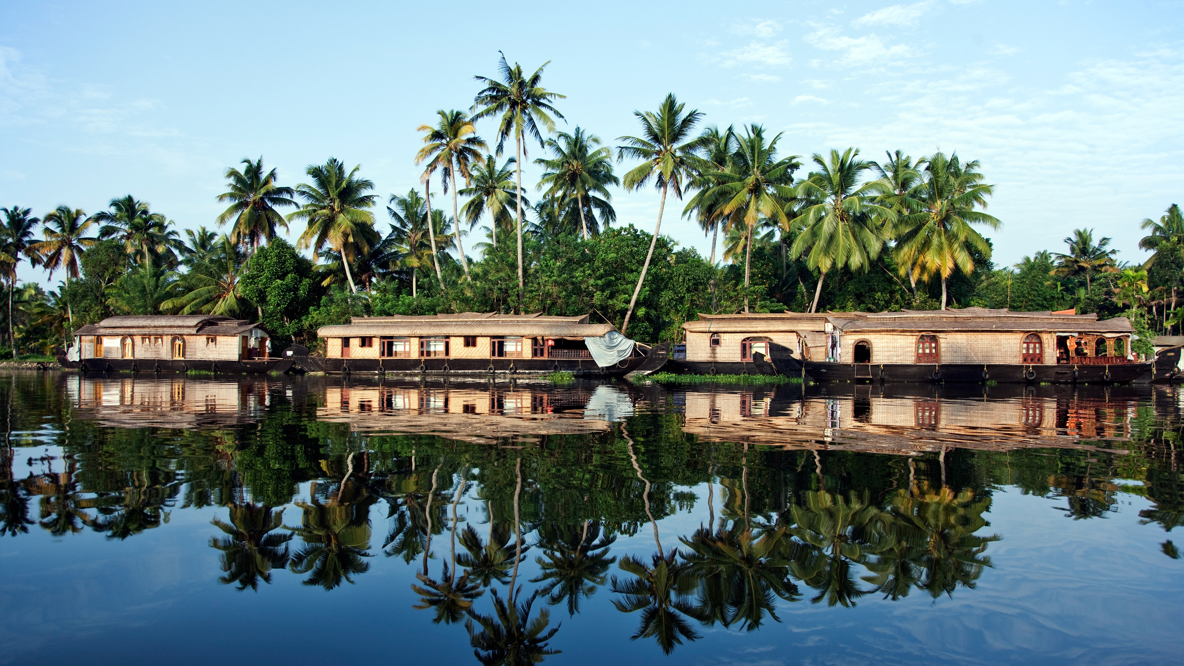 Houseboats in the backwaters in Alappuzha, Kerala, India by Martin Harvey
