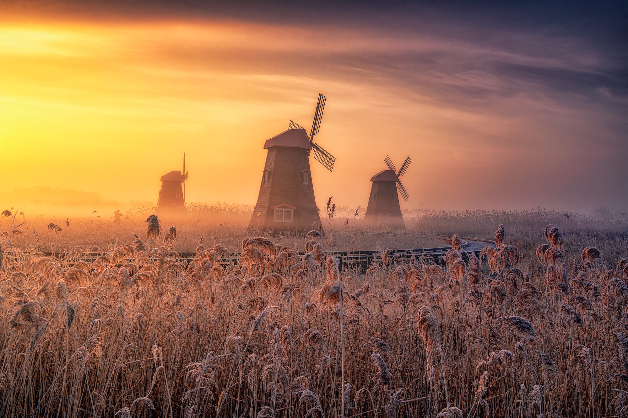 Download Fog Man Made Windmill Hd Wallpaper