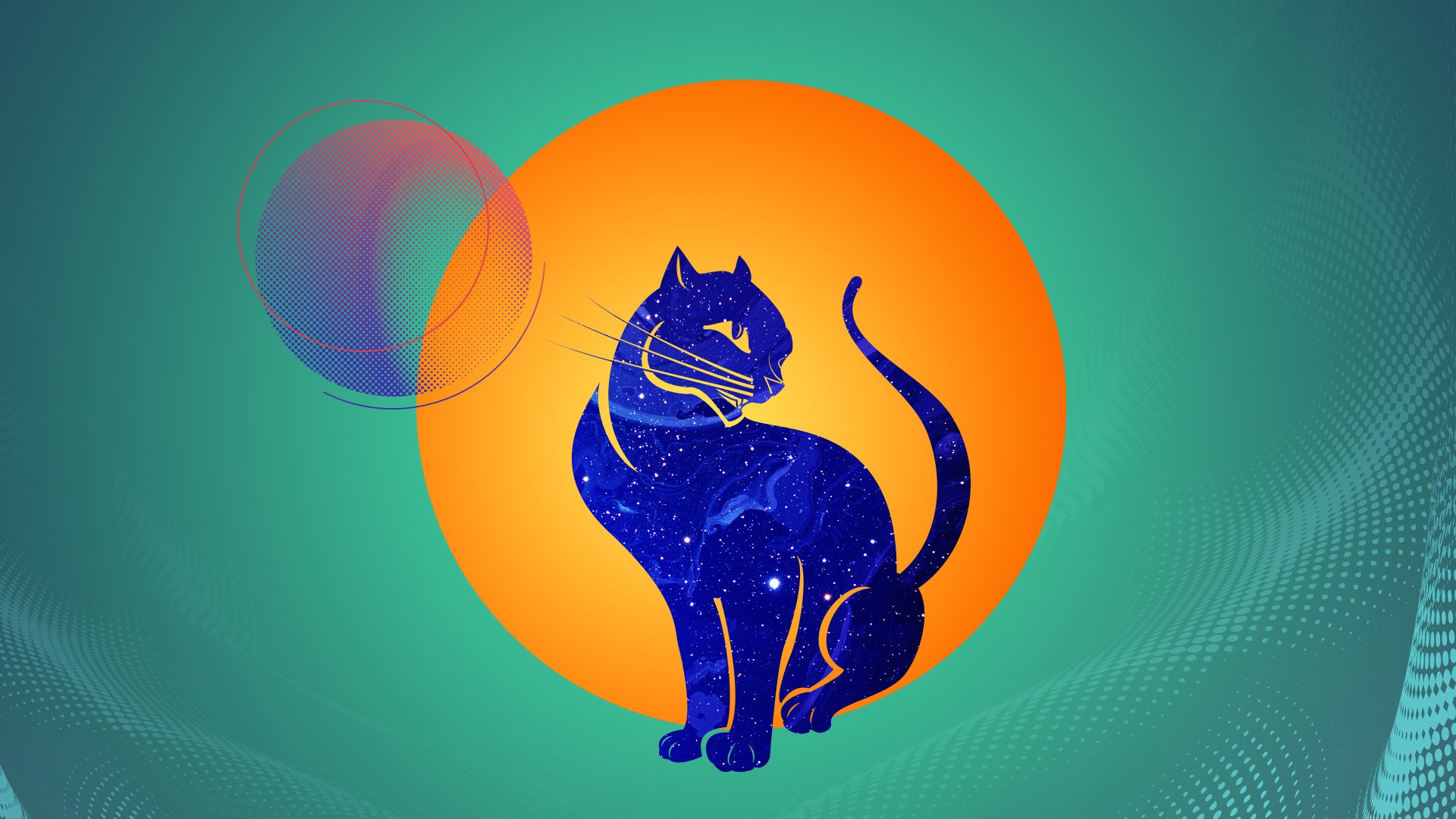 Abstract representation of feline. by ishan730