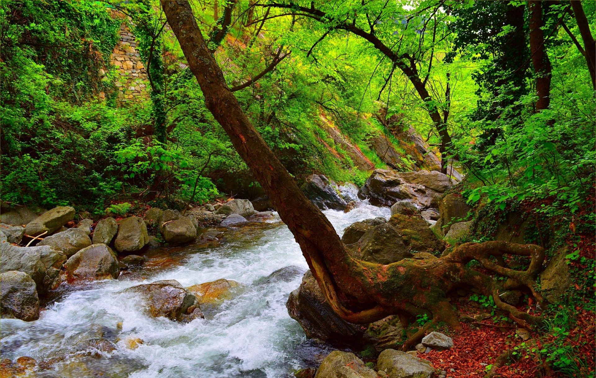 Nature River HD Wallpaper