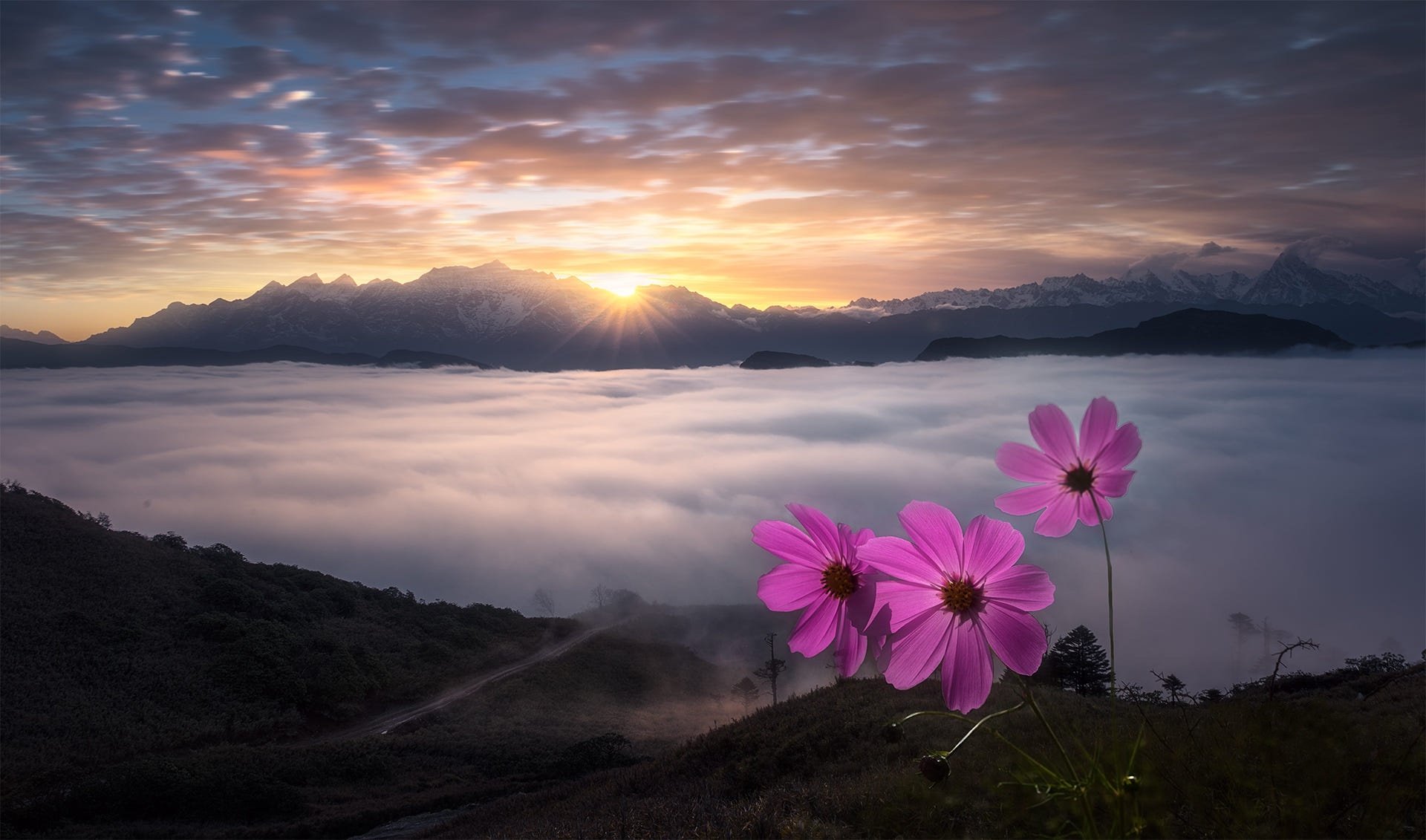 Download Sunrise Sea Of Clouds Nature Mountain HD Wallpaper | 1920x1131 ...
