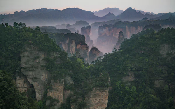 cliff mountain nature Zhangjiajie National Forest Park HD Desktop Wallpaper | Background Image