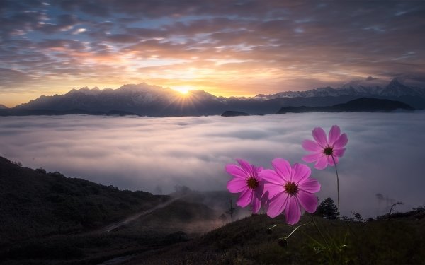 Nature Mountain Mountains Sea Of Clouds Sunrise HD Wallpaper | Background Image