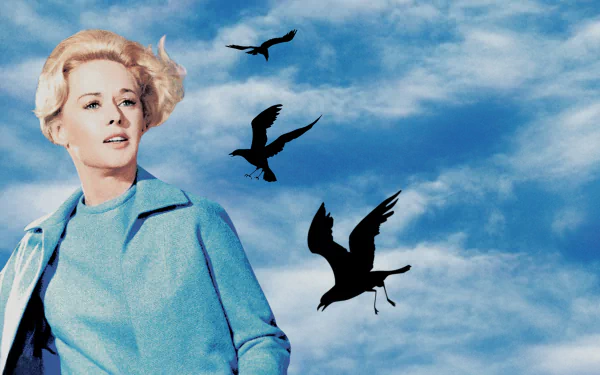 movie The Birds HD Desktop Wallpaper | Background Image