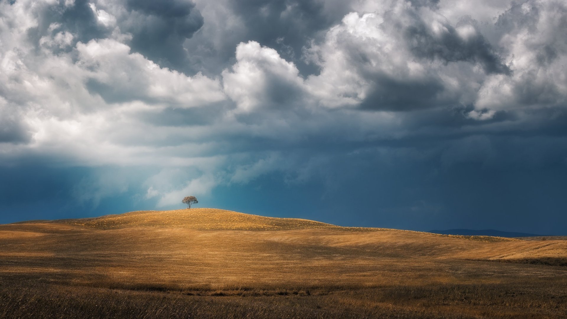 HD PC desktop wallpaper and background: golden grassland landscape with a lone tree on rolling hills under a dramatic cloud-filled sky, sunlight breaking through.