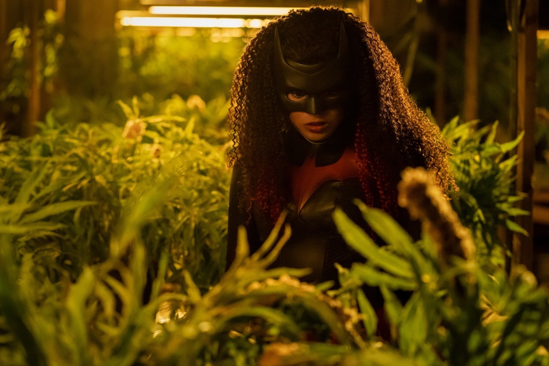 Download Javicia Leslie TV Show Batwoman HD Wallpaper