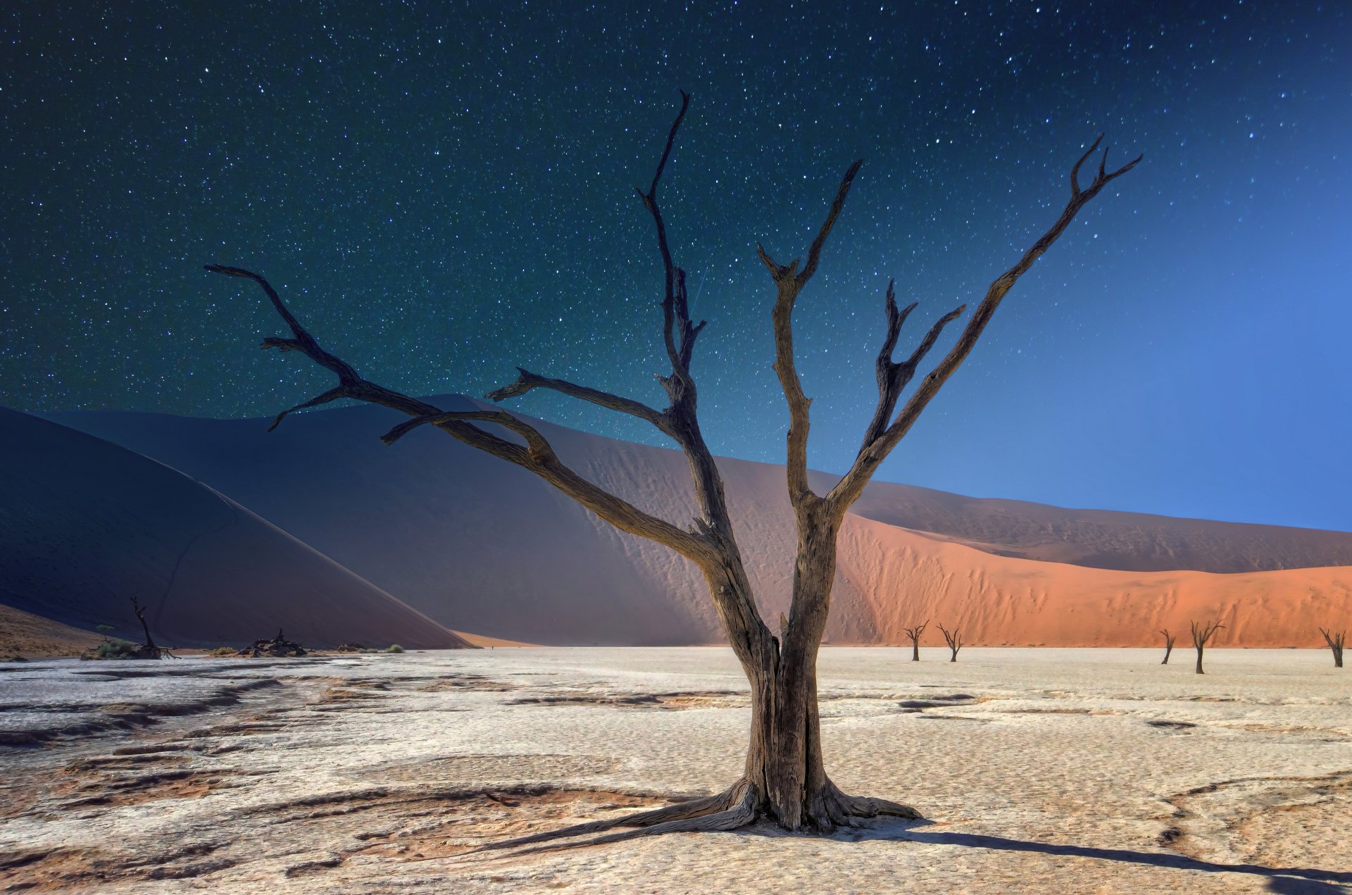 5K Ultra HD PC desktop wallpaper of a dead tree standing on pale cracked clay surrounded by sand dunes under a starry desert sky.