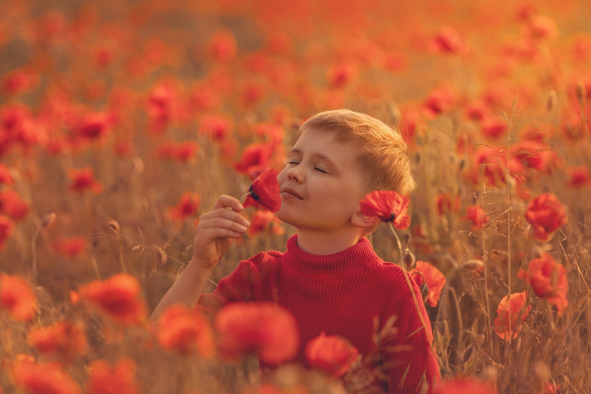 Download Poppy Little Boy Photography Child HD Wallpaper