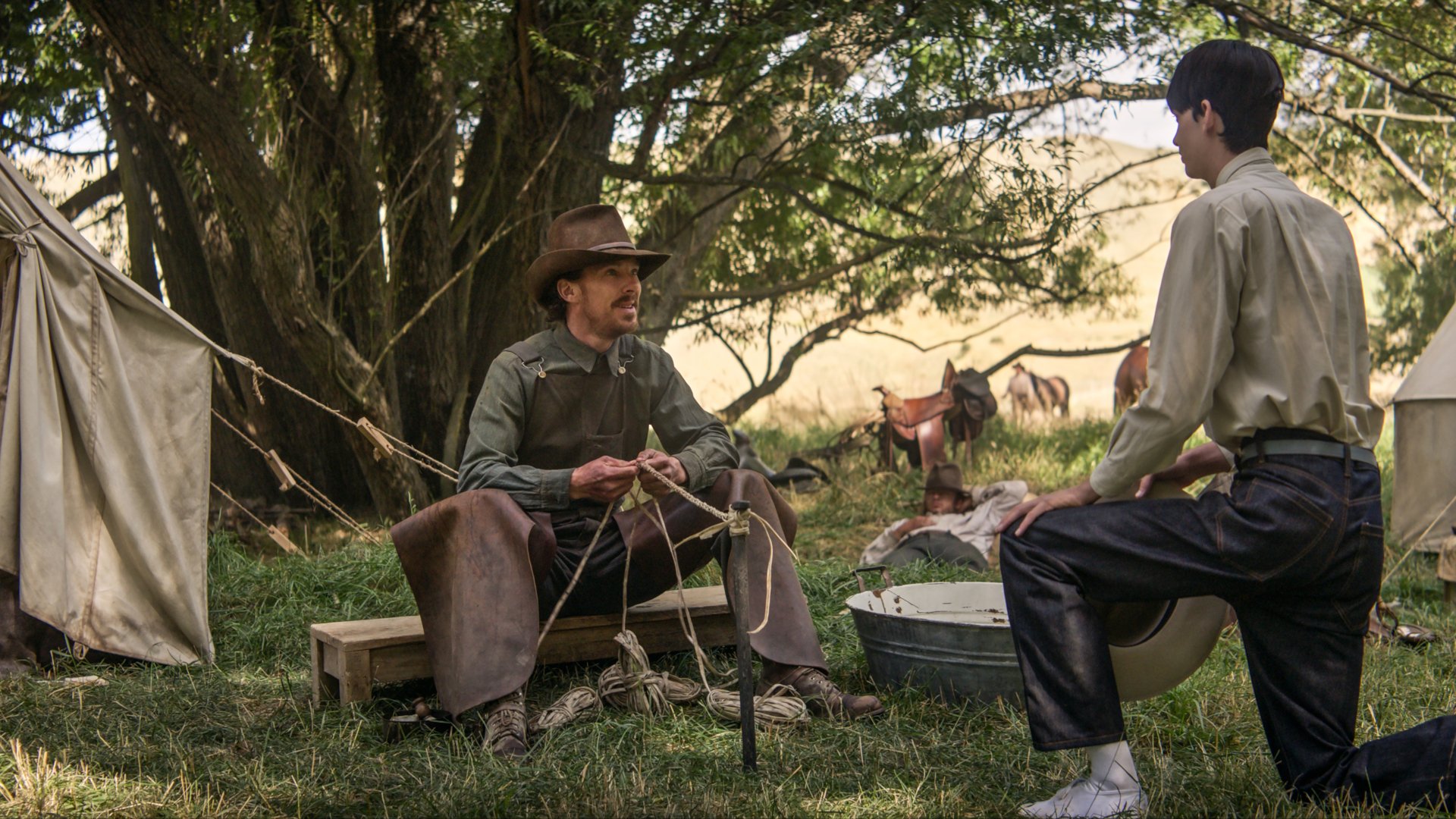 Download Kodi Smit-McPhee Benedict Cumberbatch Movie The Power Of The Dog HD Wallpaper