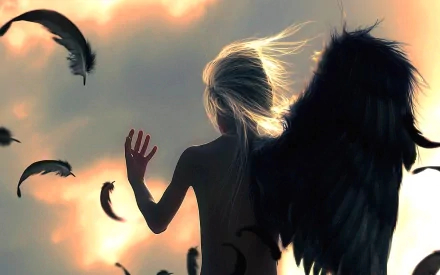 HD fantasy wallpaper of an angel with dark wings, amidst floating feathers, with a dramatic sky in the background.