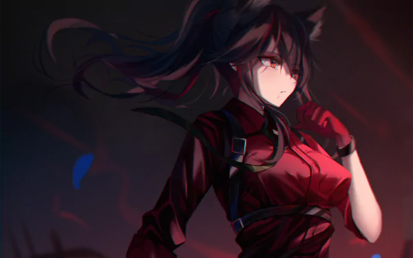 HD PC desktop wallpaper/background of Texas (Arknights) from the video game Arknights: red-lit, windblown portrait of the fox-eared operator in a tactical red outfit, determined gaze.