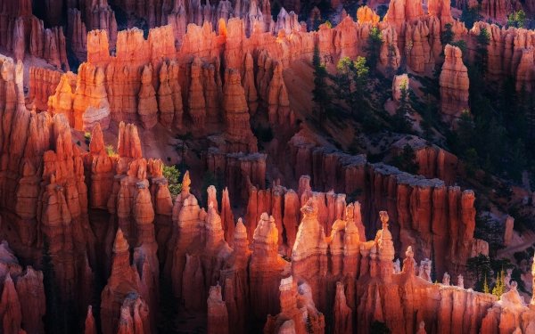 Nature Canyon Canyons HD Wallpaper | Background Image