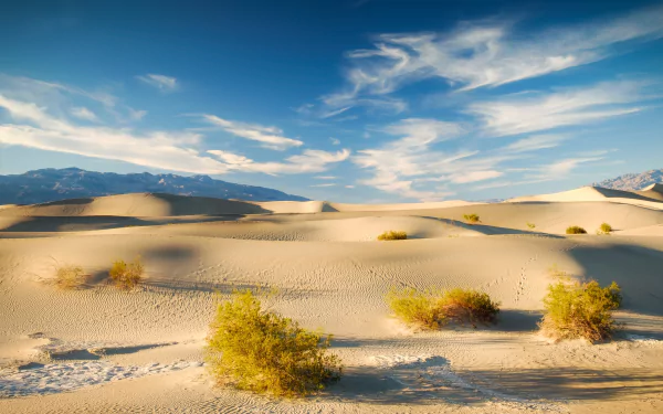 HD desktop wallpaper showcasing California's Death Valley sand dunes under a partly cloudy sky with scattered desert shrubs and distant mountains.