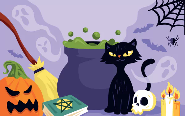 cat holiday halloween halloween cat HD Desktop Wallpaper | Background Image