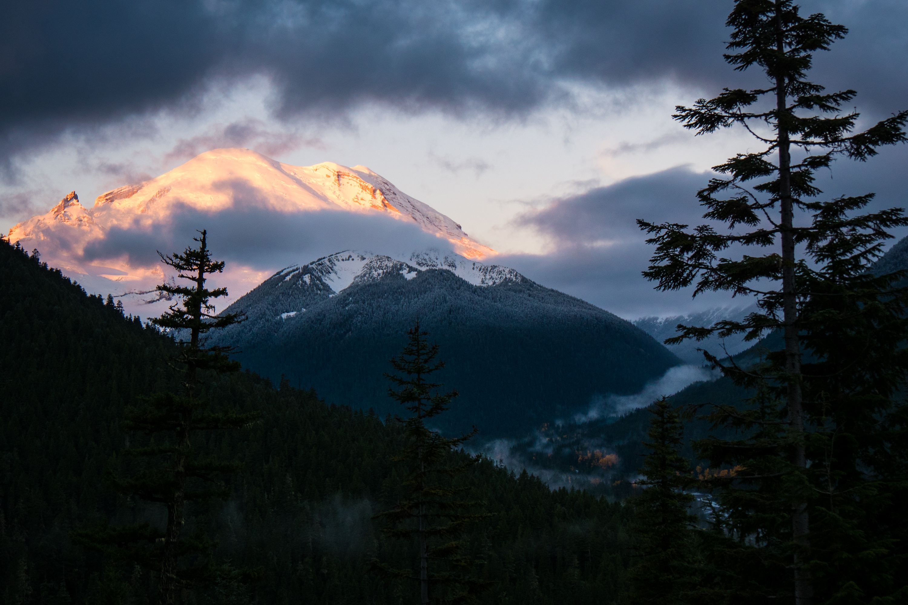 Nature Mount Rainier HD Wallpaper | Background Image