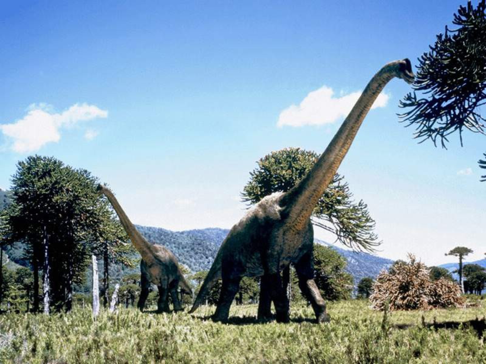 A mighty dinosaur roaming through a prehistoric landscape.