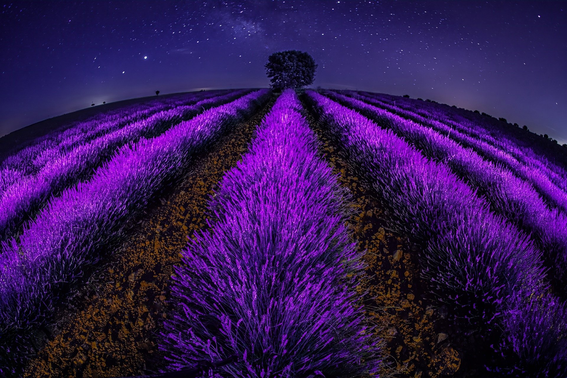Download Fish Eye Night Nature Lavender HD Wallpaper