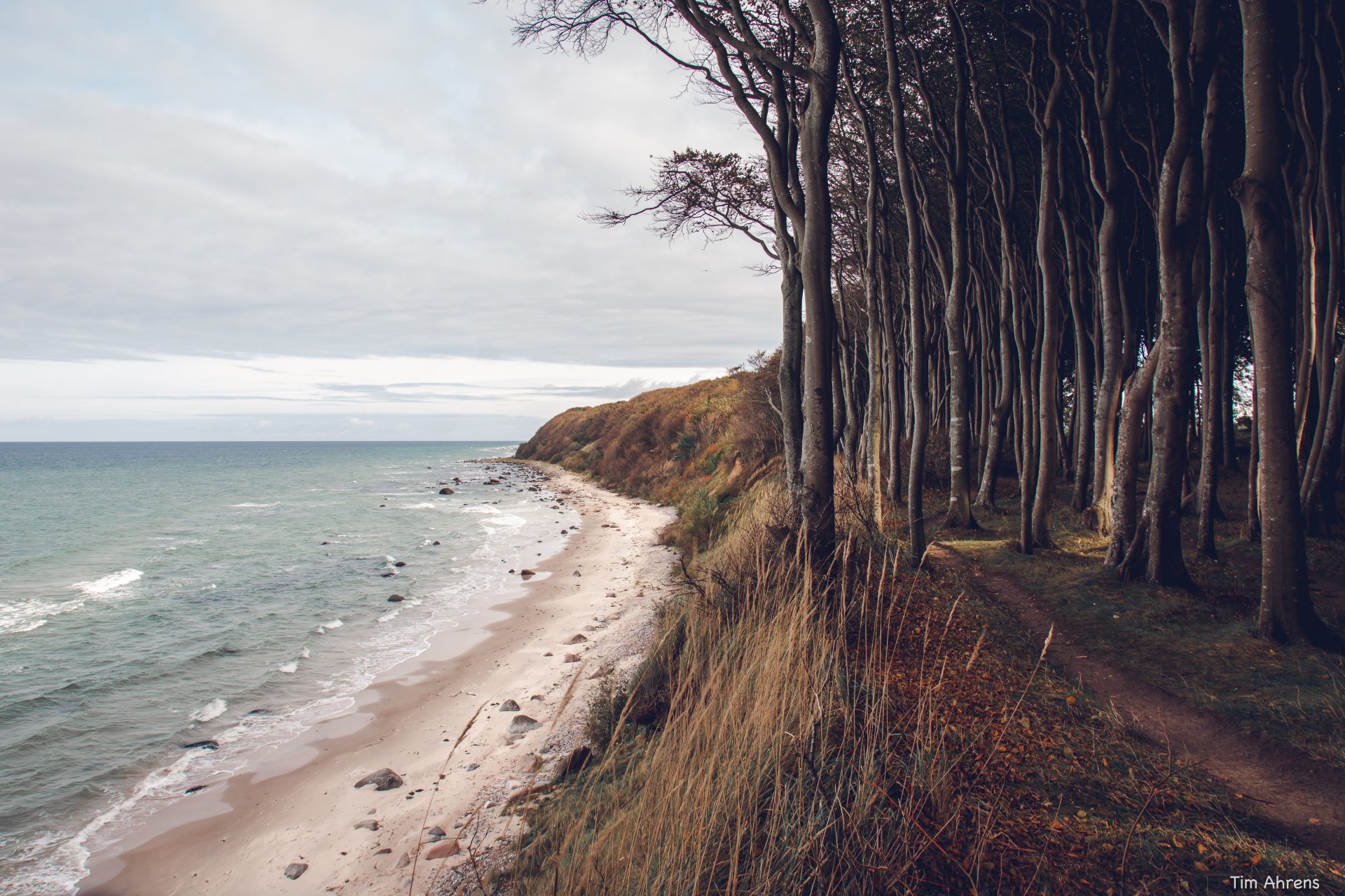 5K Ultra HD PC desktop wallpaper/background: German coastal nature — sandy beach and surf beneath cliffs adjoined by a windswept beech forest.