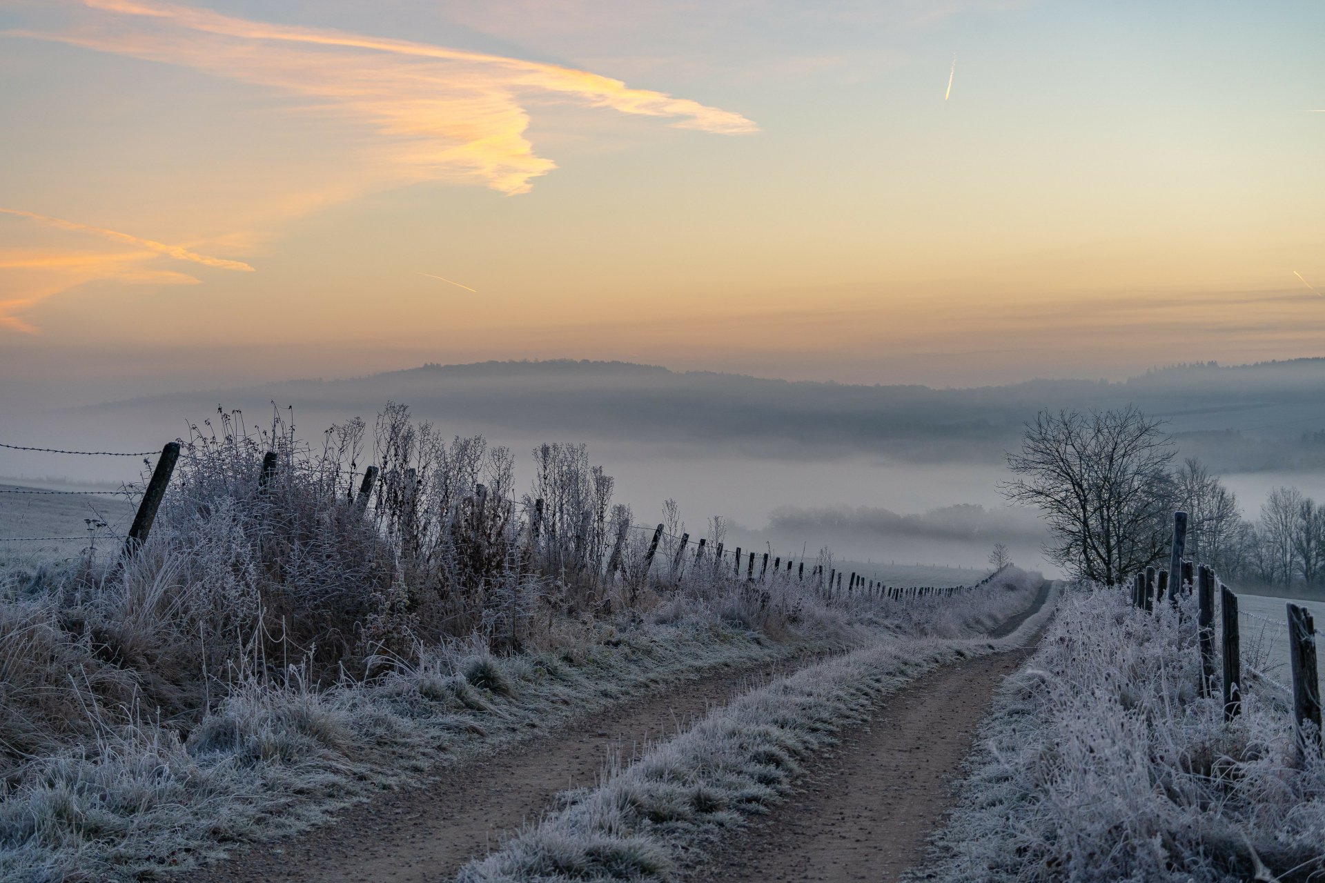 Download Nature Frost 4k Ultra HD Wallpaper by Woewwesch