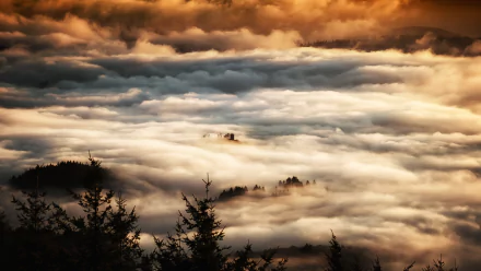 sea of clouds nature fog HD Desktop Wallpaper | Background Image