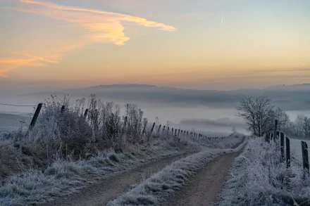 A frosty rural path winds through a misty landscape under a soft pastel sky, captured in stunning 4K Ultra HD for a nature-themed PC desktop wallpaper.