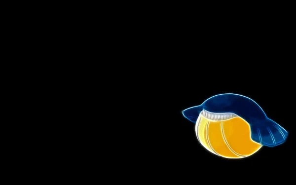 water pokémon Wailmer (Pokémon) Anime Pokemon HD Desktop Wallpaper | Background Image