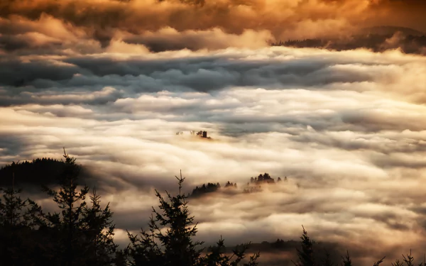 sea of clouds nature fog HD Desktop Wallpaper | Background Image