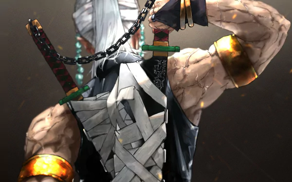 HD desktop wallpaper featuring Tengen Uzui from the anime Demon Slayer: Kimetsu no Yaiba, showcasing his muscular back with swords crossed.