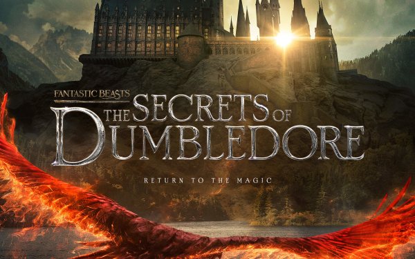 Movie Fantastic Beasts: The Secrets of Dumbledore Fantastic Beasts Phoenix HD Wallpaper | Background Image